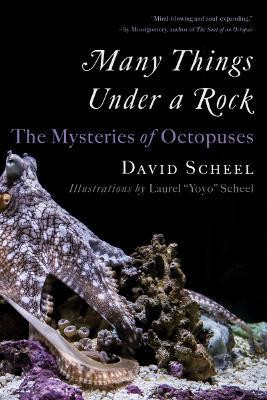 Many Things Under a Rock(English, Paperback, Scheel David)