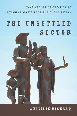 The Unsettled Sector(English, Hardcover, Richard Analiese)