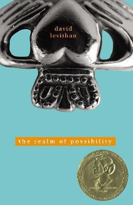 The Realm of Possibility(English, Paperback, Levithan David)