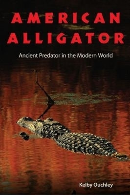 American Alligator(English, Hardcover, Ouchley Kelby)