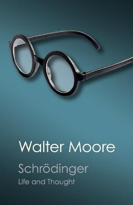 Schroedinger(English, Paperback, Moore Walter)