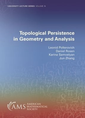 Topological Persistence in Geometry and Analysis(English, Paperback, Polterovich Leonid)