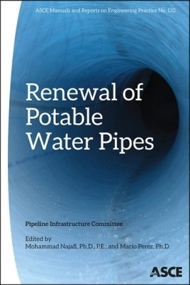 Renewal of Potable Water Pipes(English, Paperback, unknown)