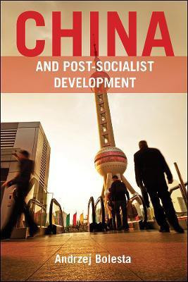 China and Post-Socialist Development(English, Hardcover, Bolesta Andrzej)