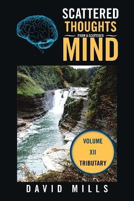 Scattered Thoughts From a Scattered Mind(English, Paperback, Mills David)