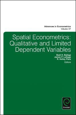 Spatial Econometrics(English, Hardcover, unknown)