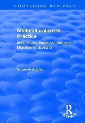 Multiculturalism in Practice(English, Paperback, Audrey Suzanne)