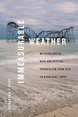 Immeasurable Weather(English, Paperback, Grossman Sara J.)