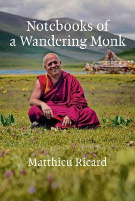 Notebooks of a Wandering Monk(English, Hardcover, Ricard Matthieu)