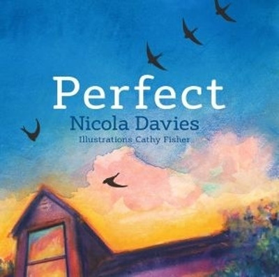 Perfect(English, Hardcover, Davies Nicola)