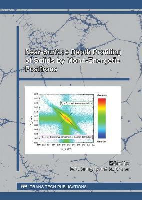 Near-Surface Depth Profiling of Solids by Mono-Energetic Positrons(English, Electronic book text, unknown)