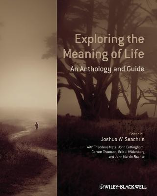 Exploring the Meaning of Life(English, Paperback, unknown)