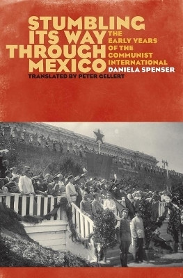 Stumbling Its Way Through Mexico(English, Hardcover, Spenser Daniela)