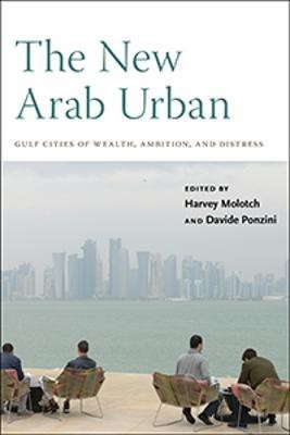 The New Arab Urban(English, Hardcover, unknown)