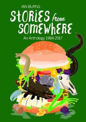 Stories from Somewhere(English, Paperback, Burns Ian)