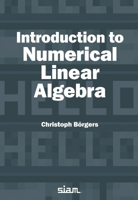 Introduction to Numerical Linear Algebra(English, Paperback, Borgers Christoph)