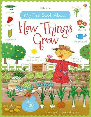 My First Book About How Things Grow(English, Paperback, Brooks Felicity)