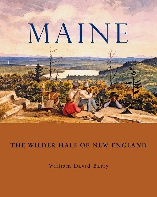 Maine(English, Paperback, Barry William David)