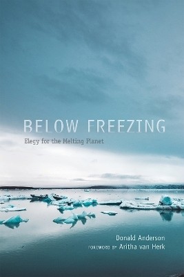 Below Freezing(English, Paperback, Anderson Donald)