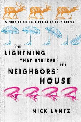 The LIGHTNING THAT STRIKES the NEIGHBORS' HOUSE(English, Paperback, University of Wisconsin Press)