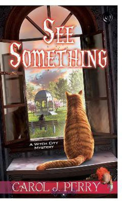 See Something(English, Paperback, Perry Carol J.)