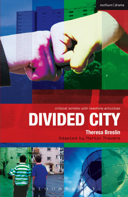 Divided City(English, Paperback, Breslin Theresa)