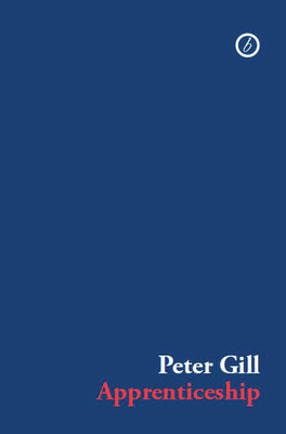 Apprenticeship(English, Paperback, Gill Peter)