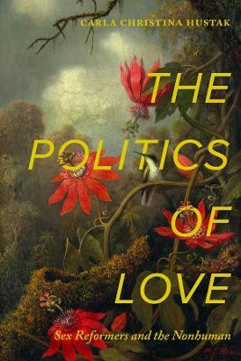 The Politics of Love(English, Paperback, Hustak Carla Christina)