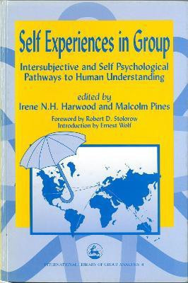 Self Experiences in Group(English, Hardcover, unknown)