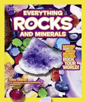Everything Rocks and Minerals(English, Paperback, Tomecek Steve)