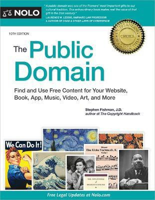 The Public Domain(English, Paperback, Fishman Stephen)
