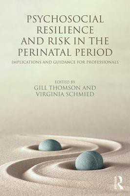 Psychosocial Resilience and Risk in the Perinatal Period(English, Paperback, unknown)