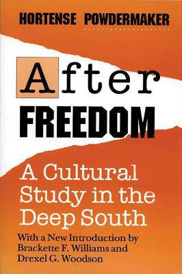 After Freedom(English, Paperback, University of Wisconsin Press)