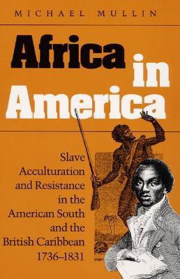 Africa in America(English, Paperback, Mullin Michael)