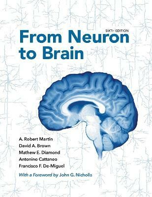 From Neuron to Brain(English, Hardcover, Martin A. Robert)