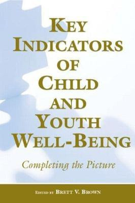 Key Indicators of Child and Youth Well-Being(English, Paperback, unknown)