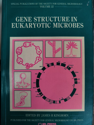 Gene Structure in Eukaryotic Microbes(English, Paperback, unknown)
