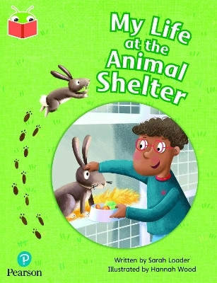 Bug Club Independent Phase 5 Unit 25: My Life at the Animal Shelter(English, Paperback, unknown)