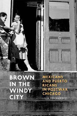 Brown in the Windy City(English, Hardcover, Fernandez Lilia)