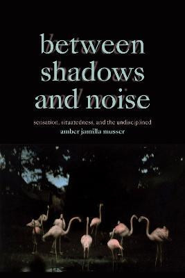 Between Shadows and Noise(English, Paperback, Musser Amber Jamilla)