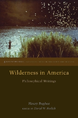 Wilderness in America(English, Electronic book text, Bugbee Henry)