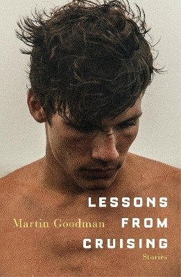 Lessons from Cruising(English, Paperback, Goodman Martin)