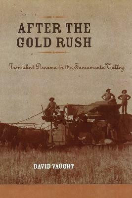 After the Gold Rush(English, Paperback, Vaught David)