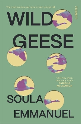Wild Geese(English, Paperback, Emmanuel Soula)