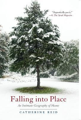 Falling into Place(English, Paperback, Reid Catherine)