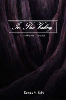 In the Valley(English, Paperback, Deepak M. Babu)