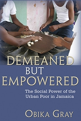 Demeaned but Empowered(English, Paperback, Gray Obika)