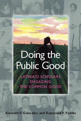 Doing the Public Good(English, Paperback, unknown)