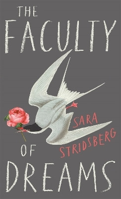 The Faculty of Dreams(English, Paperback, Stridsberg Sara)