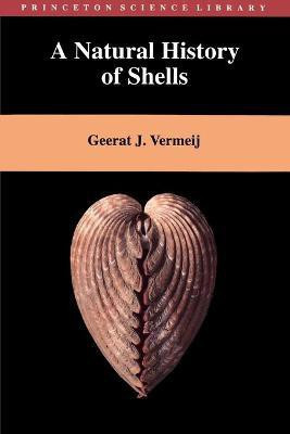 A Natural History of Shells(English, Paperback, Vermeij Geerat)